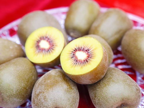 塬生就是好，消費扶貧e起來——陜西獼猴桃探訪渭南臨渭區銷售紀實