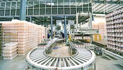 萬盛加快農業農村現代化 以獼猴桃銷售推動鄉村全面振興