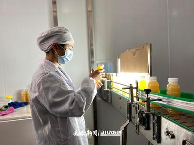 六盤水 產(chǎn)業(yè)轉(zhuǎn)型蹄疾步穩(wěn)，獼猴桃變身“致富果”