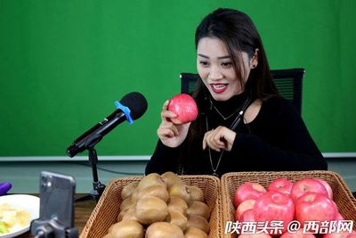 專業合作社引領，果農增收致富路——扶風獼猴桃實現全年供應與銷售新突破